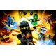 88250 Vafa Lego Ninjago 30x20cm